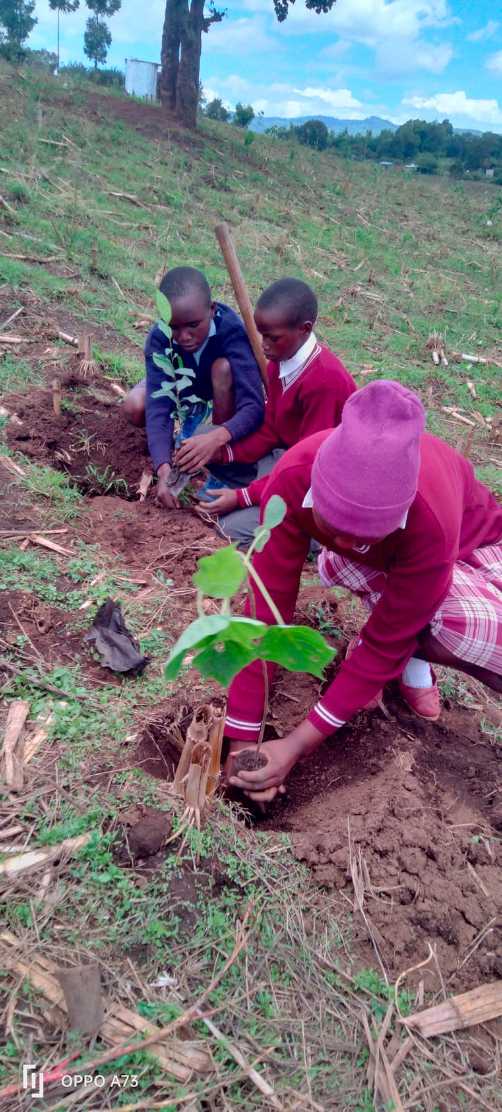 Header photo for Environmental Stewardship
